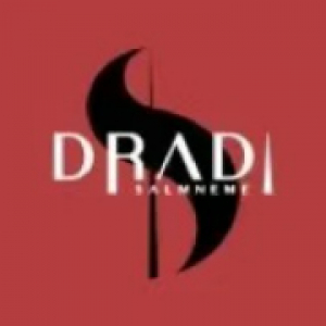 DRADI-艺术新消费品牌
